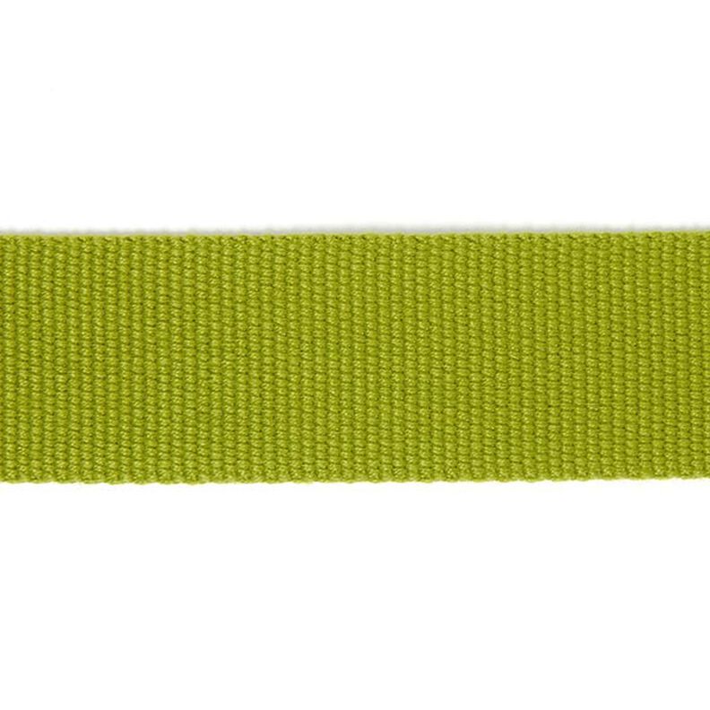 Nastro gros-grain per borse basic - verde mela,  image number 1