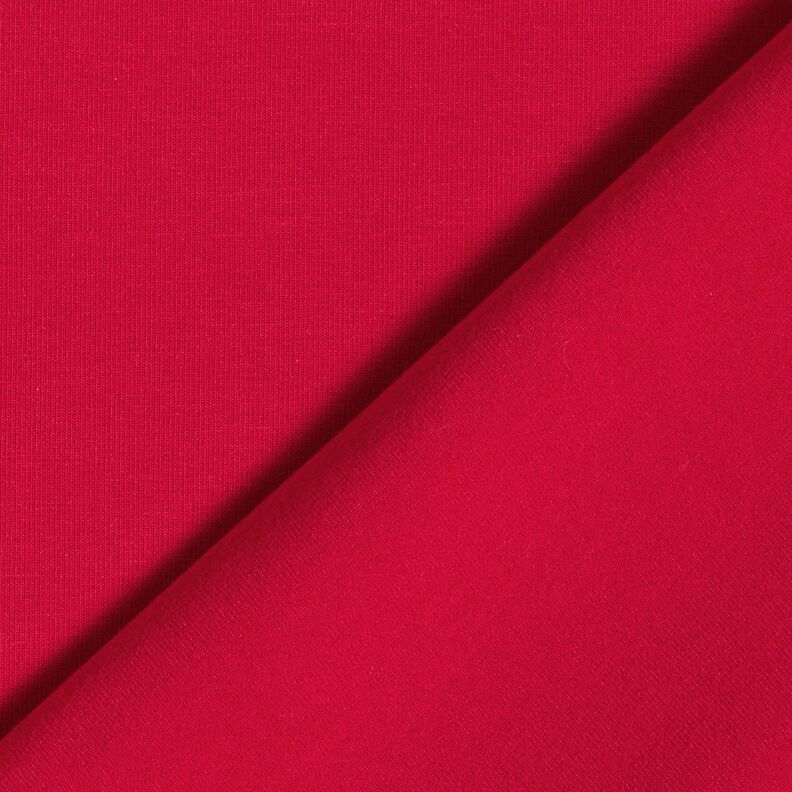jersey di cotone medio tinta unita – lampone,  image number 5