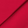 jersey di cotone medio tinta unita – lampone,  thumbnail number 5