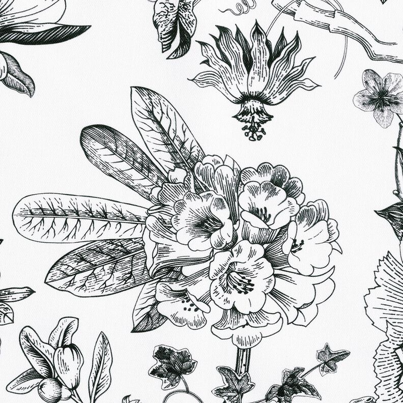 tessuto arredo mezzo panama Fiori pittoreschi – bianco/nero, image number 5