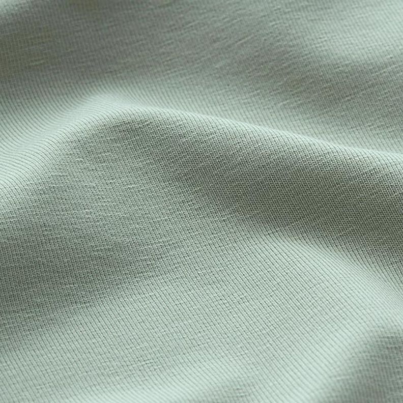 jersey di cotone medio tinta unita – canna palustre,  image number 4