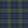 quadri scozzesi stretch – blu marino/verde,  thumbnail number 1