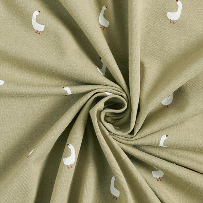jersey di cotone tenere oche – pistacchio,  image number 3