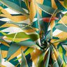 cotone rivestito Foglie delicate – abete blu/giallo curry,  thumbnail number 4