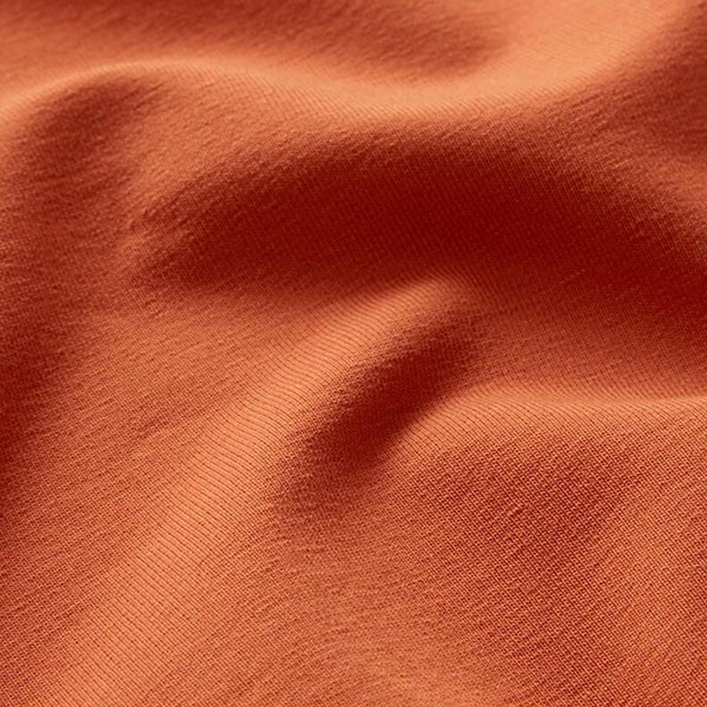 French terry leggero tinta unita – marrone capriolo,  image number 3