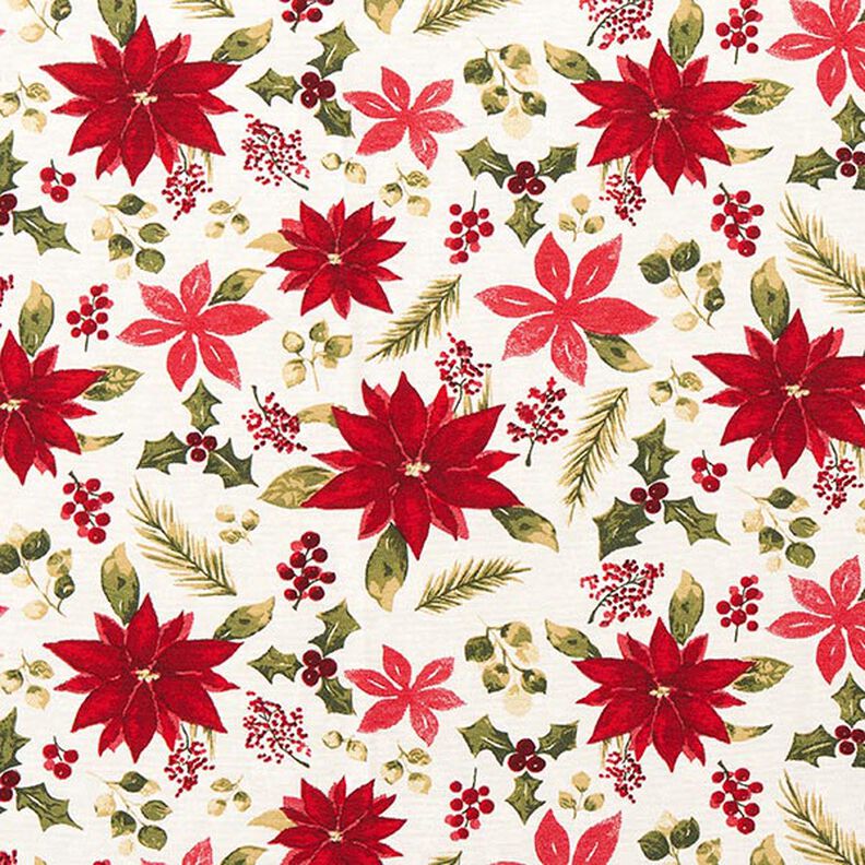 tessuto arredo tessuti canvas Fiori di stella di Natale – bianco lana/rosso carminio,  image number 1