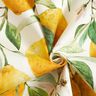 tessuti da esterni tessuti canvas limoni – avorio/giallo limone,  thumbnail number 4
