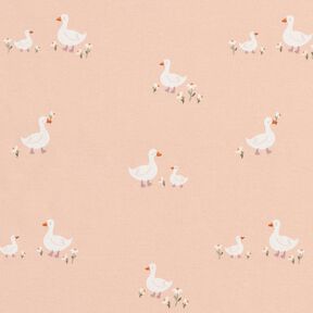 jersey di cotone oche e fiori – rosé, 