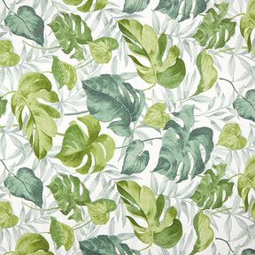 tessuto arredo tessuto canvas grandi foglie di monstera – bianco/verde erba, 