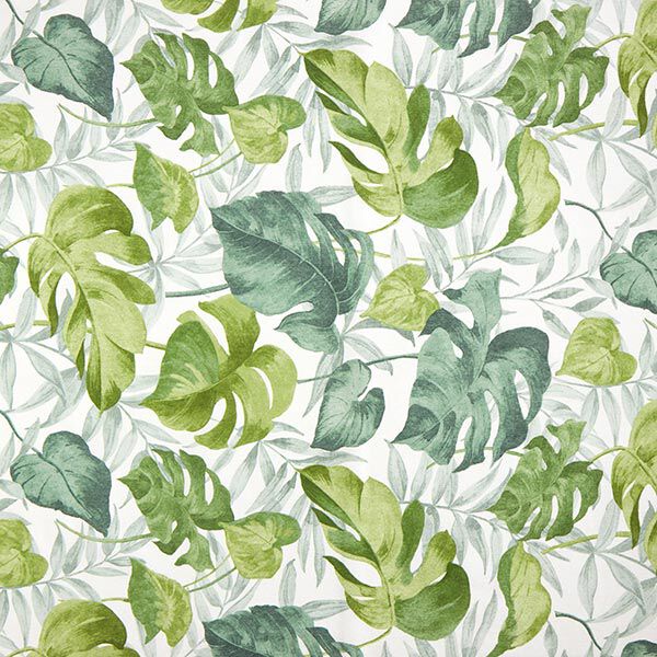 tessuto arredo tessuto canvas grandi foglie di monstera – bianco/verde erba, image number 1