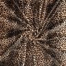 vellutino nicki Motivo stampato Leopardo – crema/nero,  thumbnail number 3