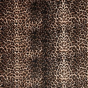 vellutino nicki Motivo stampato Leopardo – crema/nero, 