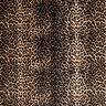 vellutino nicki Motivo stampato Leopardo – crema/nero,  thumbnail number 1
