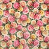 velluto arredo Rose opulente &ndash; rosa/giallo,  thumbnail number 1