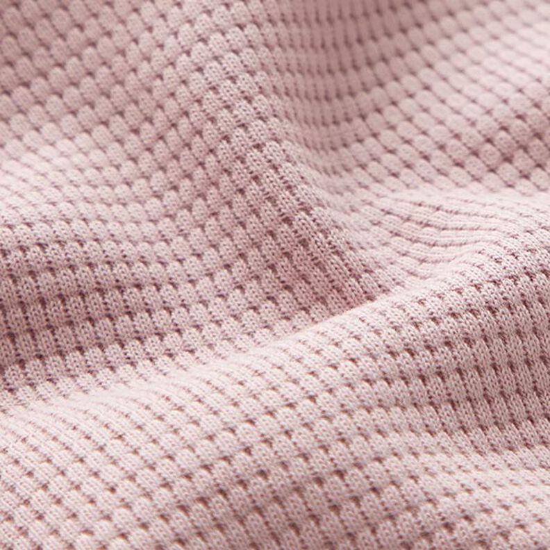 jersey di cotone, nido d’ape mini, tinta unita – rosa anticato,  image number 3