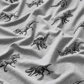 French terry, felpa estiva dinosauri – argento/nero, 