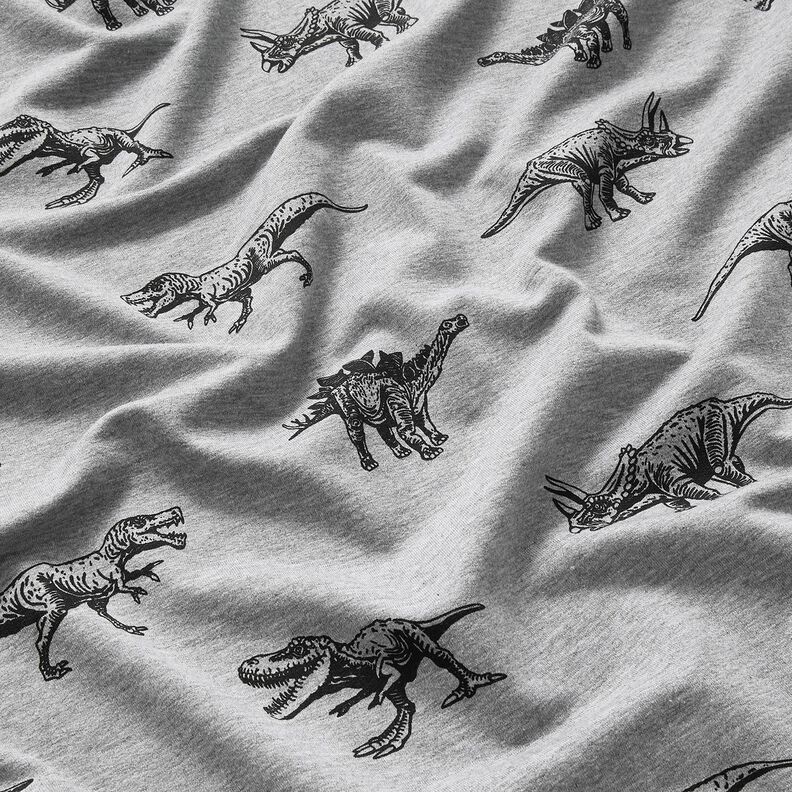 French terry, felpa estiva dinosauri – argento/nero, image number 2