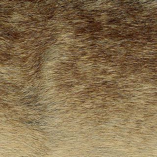 Pelliccia sintetica [ 10 cm ] – marrone chiaro, 