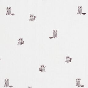 GOTS jersey di cotone Simpatici procioni stampa digitale – avorio, 