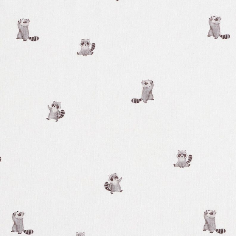 GOTS jersey di cotone Simpatici procioni stampa digitale – avorio, image number 1