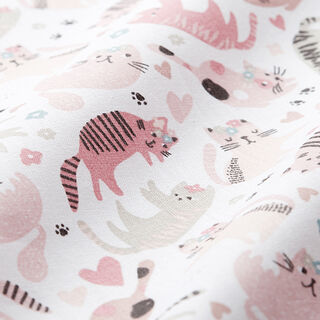 popeline di cotone gatti – bianco lana, 