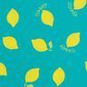 tessuto per impermeabili Limoni – menta piperita/giallo limone,  thumbnail number 1