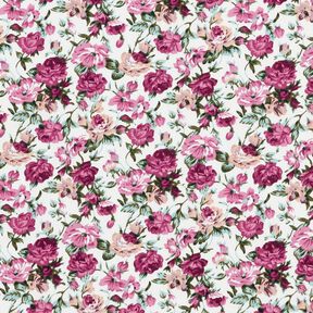 popeline di cotone rose selvatiche – bianco/malva, 