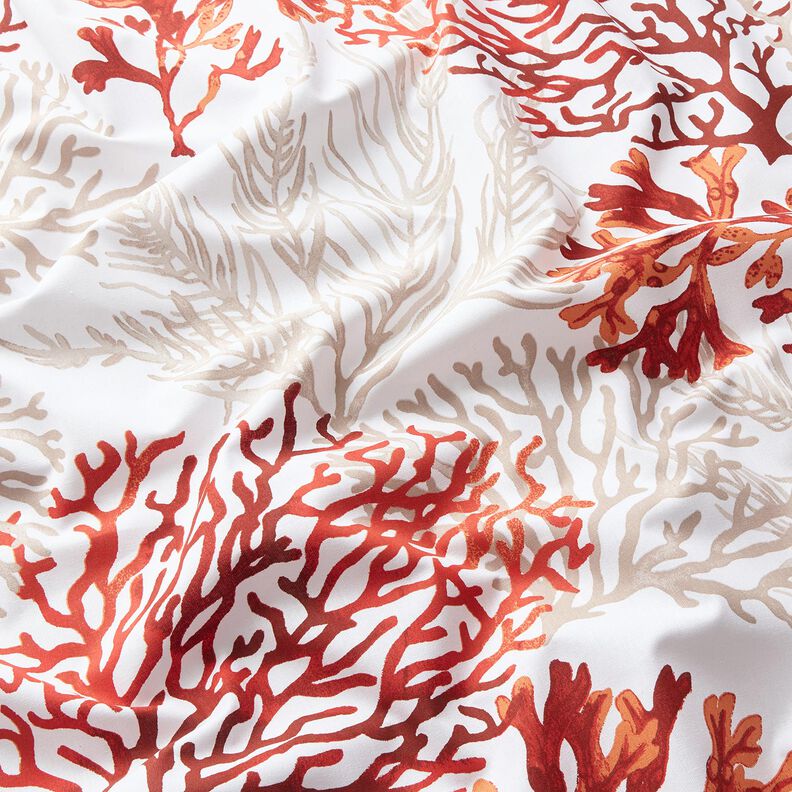 tessuto in cotone cretonne Grandi coralli – bianco/arancio pesca,  image number 2