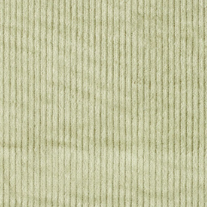 Breitcord Stretch – canna palustre, image number 4
