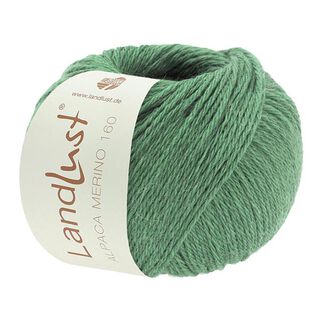 LANDLUST Alpaca Merino 160, 50g | Lana Grossa – canna palustre, 