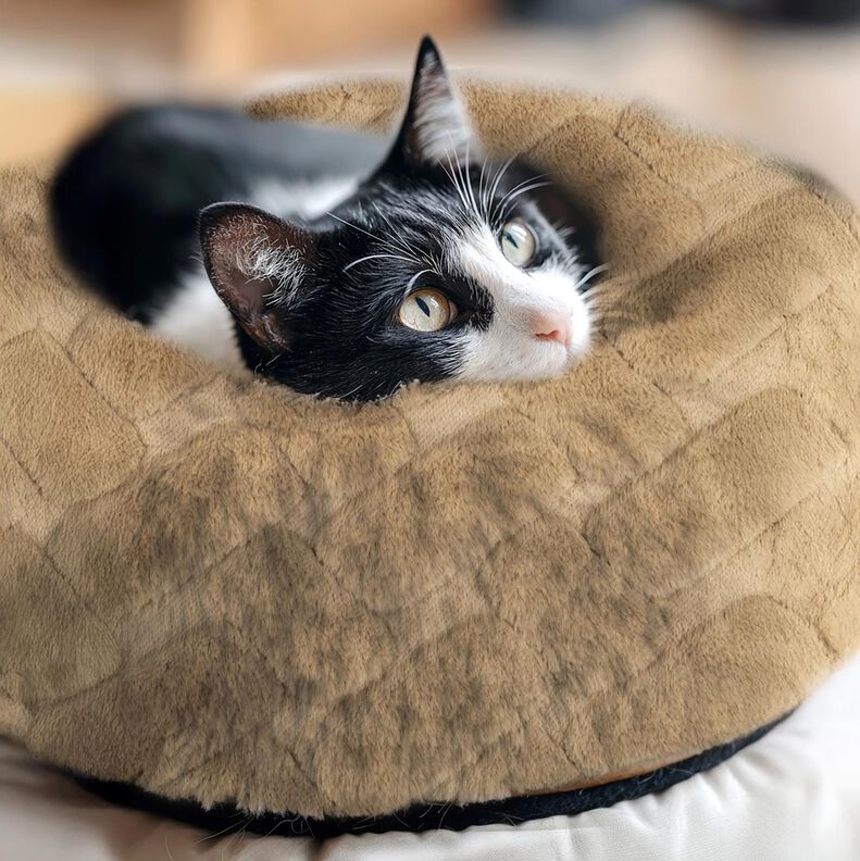 ecopelliccia astratto – sabbia,  image number 5