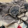 taglio di tessuto arredo gobelin gatto elegante &ndash; naturale/grigio,  thumbnail number 3