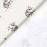 GOTS jersey di cotone Koala stampa digitale – avorio,  thumbnail number 4