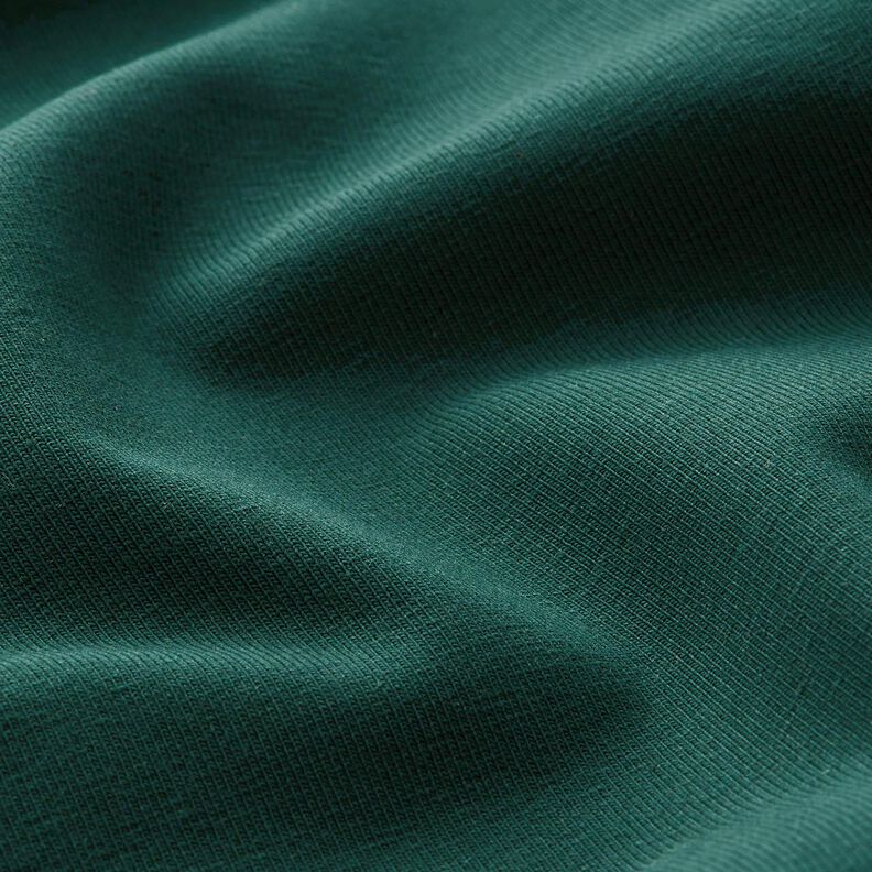 jersey di cotone medio tinta unita – abete blu, image number 4