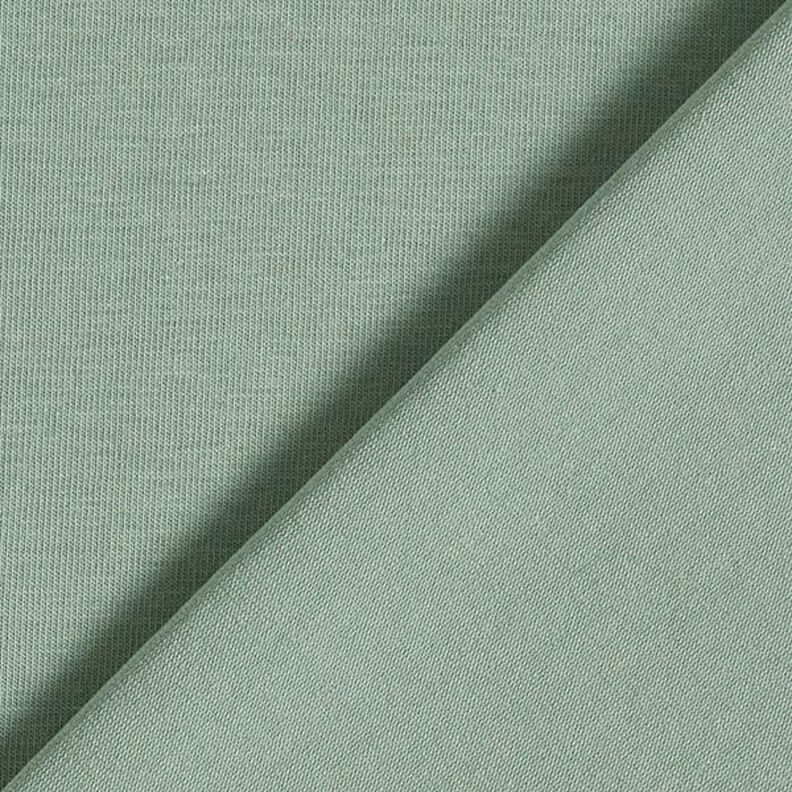GOTS jersey di cotone | Tula – canna palustre,  image number 3