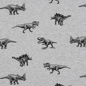 French terry, felpa estiva dinosauri – argento/nero, 