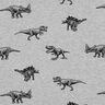 French terry, felpa estiva dinosauri – argento/nero,  thumbnail number 1