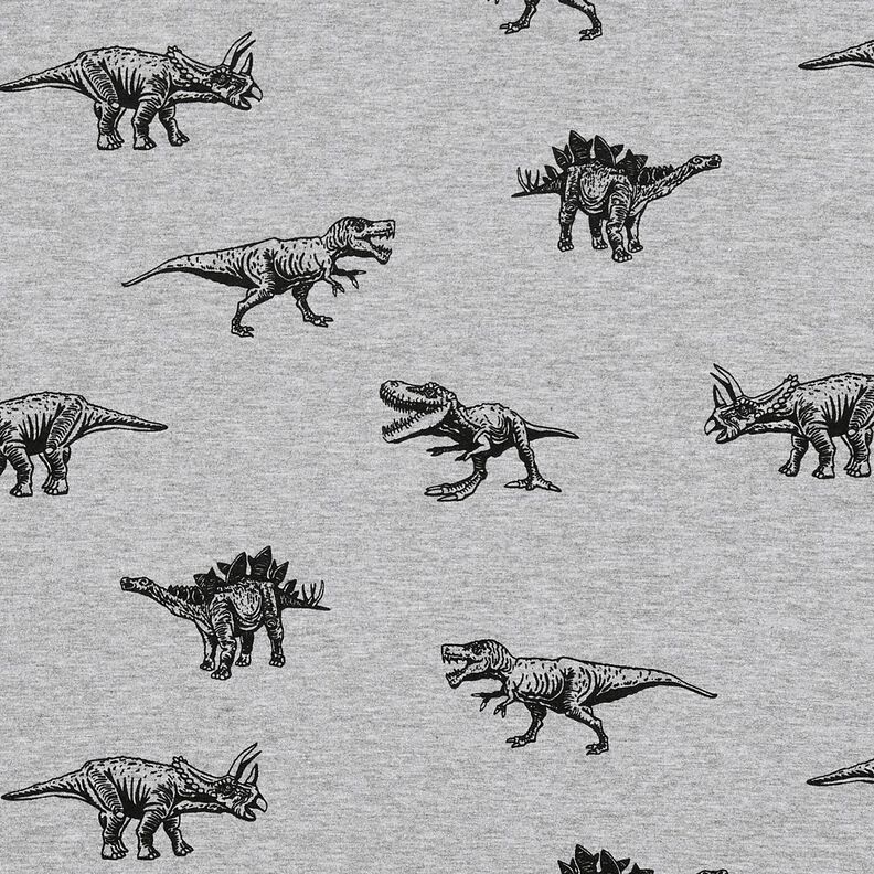 French terry, felpa estiva dinosauri – argento/nero, image number 1