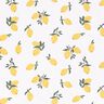 jersey di cotone Grandi limoni – avorio/oro,  thumbnail number 1