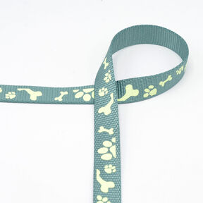 Nastro riflettente Guinzaglio per cani [20 mm] – verde salvia, 