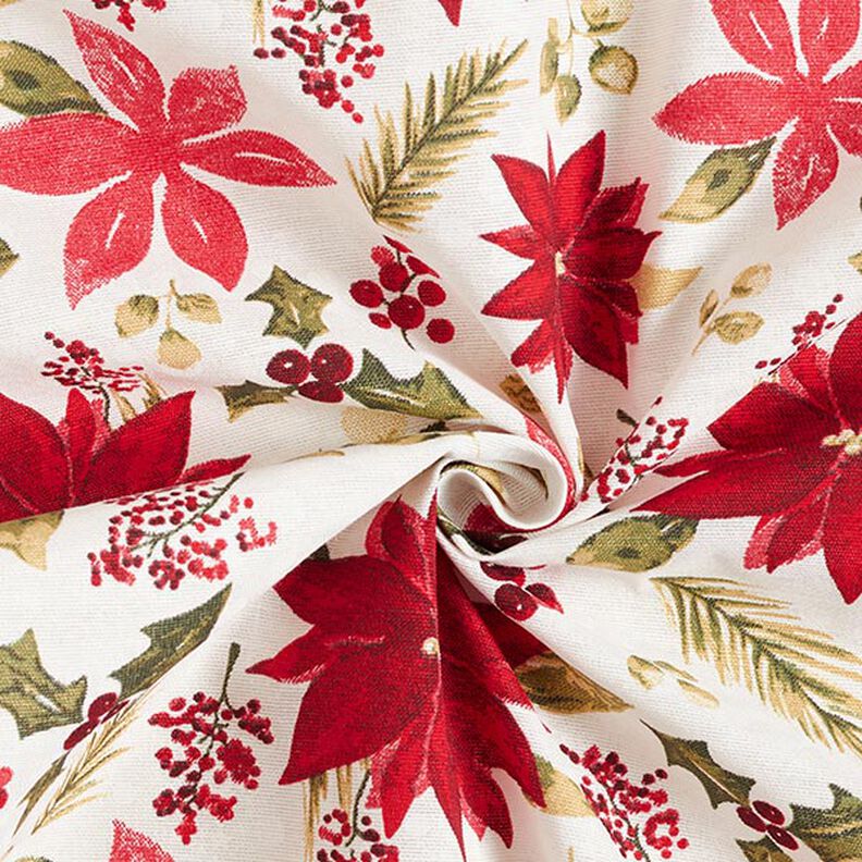 tessuto arredo tessuti canvas Fiori di stella di Natale – bianco lana/rosso carminio,  image number 3