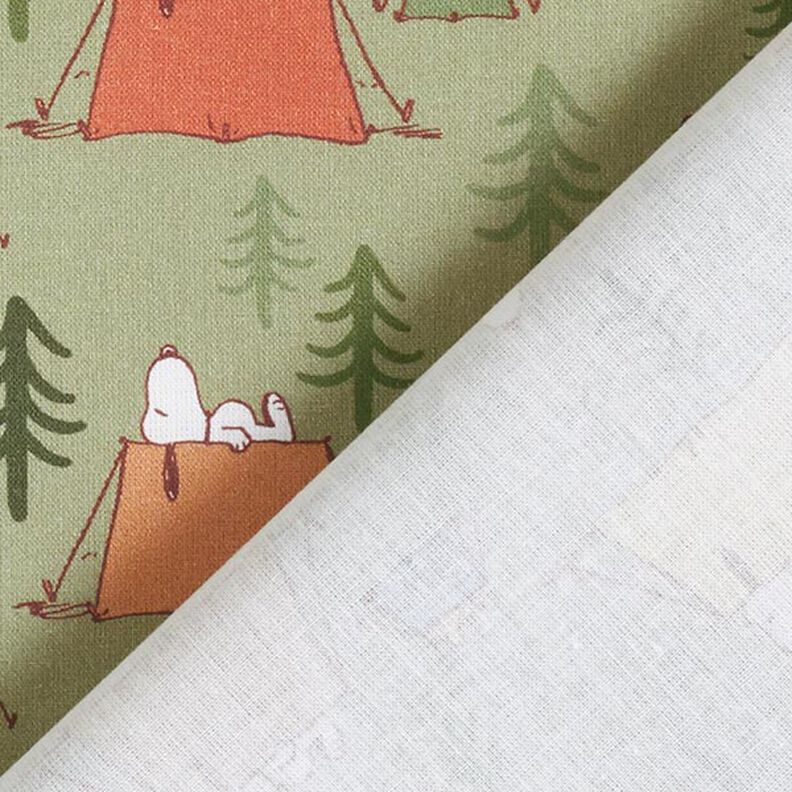 popeline di cotone, tessuto oggetto di licenza, Snoopy & Woodstock in campeggio | Peanuts ™ –,  image number 4