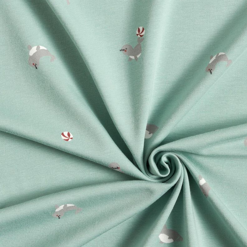 jersey di cotone Foche acrobatiche &ndash; azzurro,  image number 3