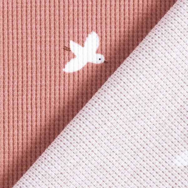 Jersey a nido d’ape uccelli – rosa anticato, image number 5