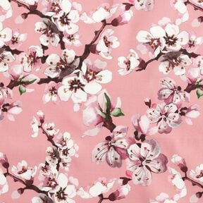 tessuti da esterni tessuti canvas Bocciolo di ciliegio – rosa chiaro, 
