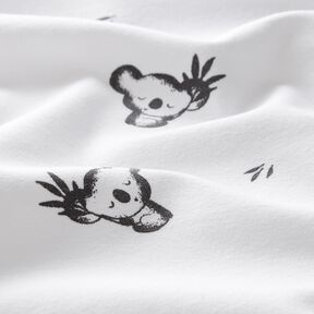 jersey di cotone Piccolo koala – avorio, 