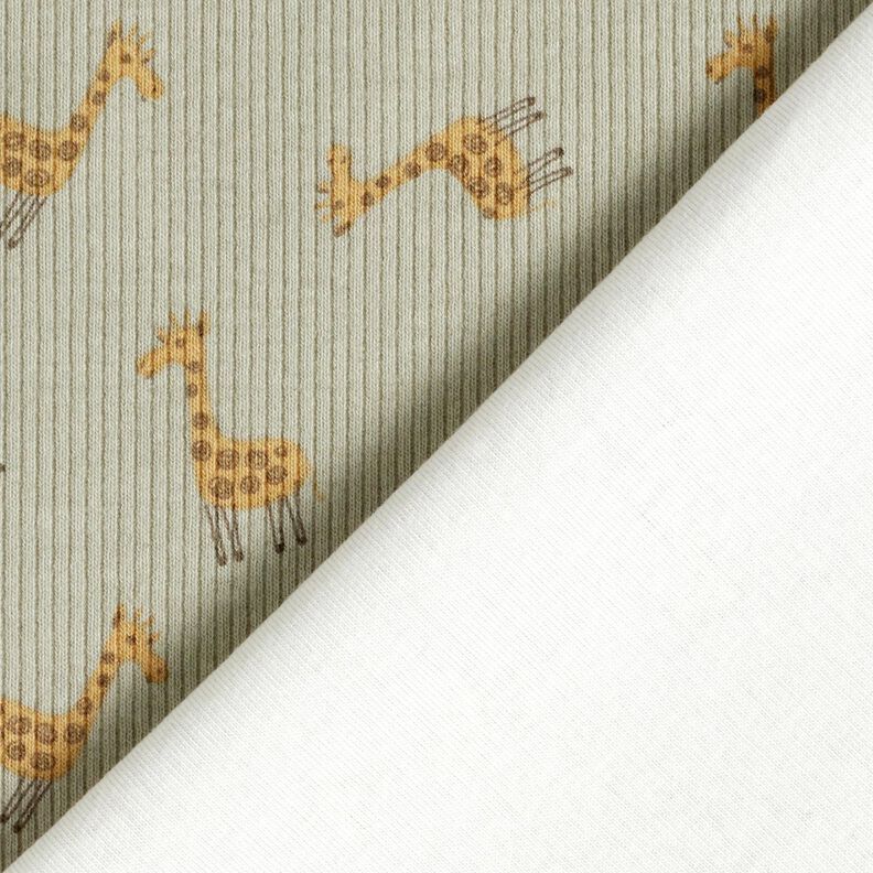 jersey a coste tenere giraffe – cachi, image number 4