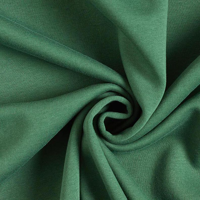 felpa garzata – verde scuro, image number 1