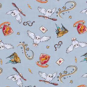 jersey di cotone Mondo magico di Harry Potter | Warner Bros. – azzurro, 