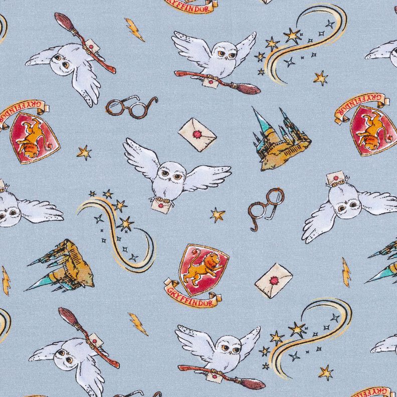 jersey di cotone Mondo magico di Harry Potter | Warner Bros. – azzurro,  image number 1